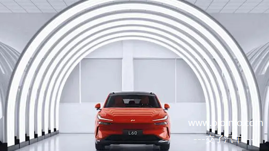 ledao_L60