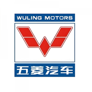 广西汽车集团-交子汽车 - 专业的汽车开发社区