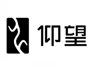 仰望汽车-交子汽车 - 专业的汽车开发社区